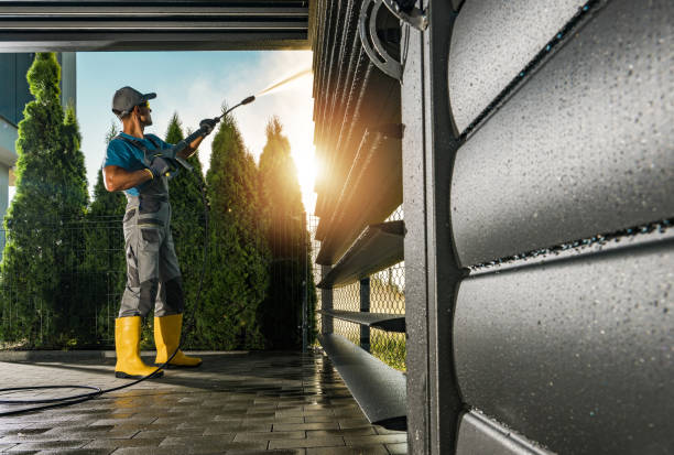 Best Roof Pressure Washing  in Marshall, IL